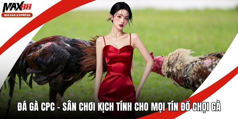Đá gà CPC