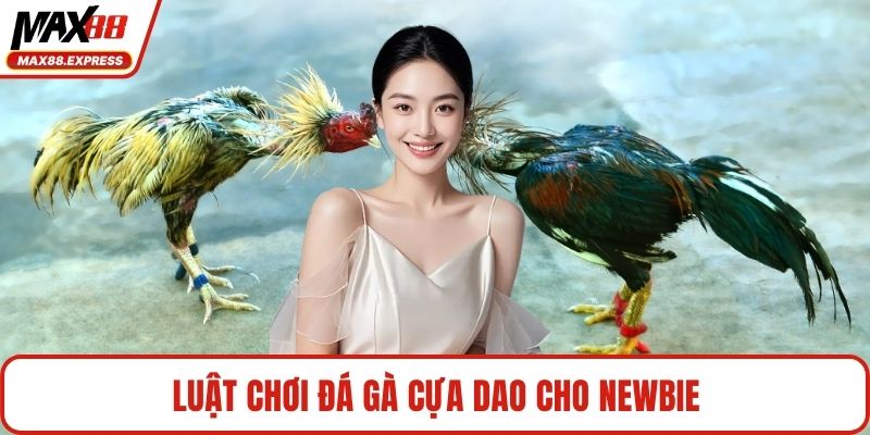Luật chơi đá gà cựa dao cho newbie