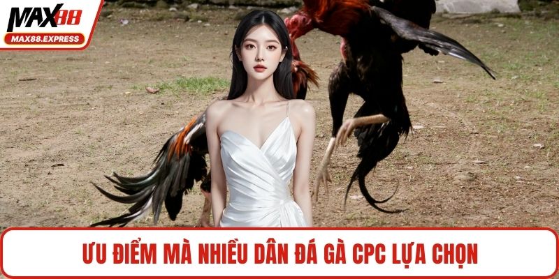 Ưu điểm mà nhiều dân đá gà CPC lựa chọn